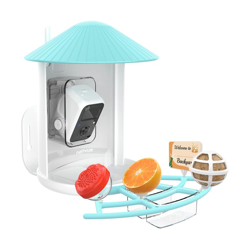 NETVUE Birdfy Pro Perch - Wider Extension Perch to DIY Add-ons Including Suet Ball, Mini Hummingbird Feeder, Fruit Holder, Jelly Feeder and Welcome Card, Ideal for Bird Lover (Blue) - Image 5
